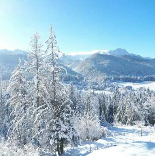 Pokoje Goscinne Anna Bobak Zakopane Exterior photo